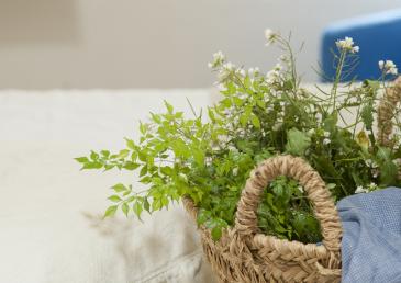 Flors naturals en arkhé Hotel Boutique